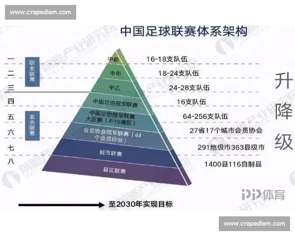 中超联赛新纪元：全面解析中国足球未来发展与挑战