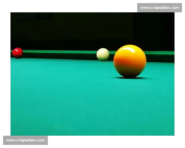 斯诺克运动的魅力与技巧解析以及职业赛事发展趋势全景观察深度版